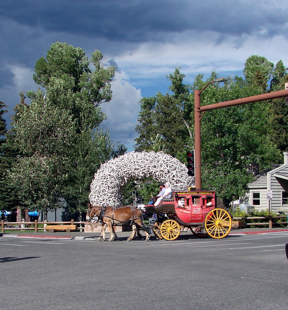 horse pulling carriage in front of elk antler arch in jackson town square