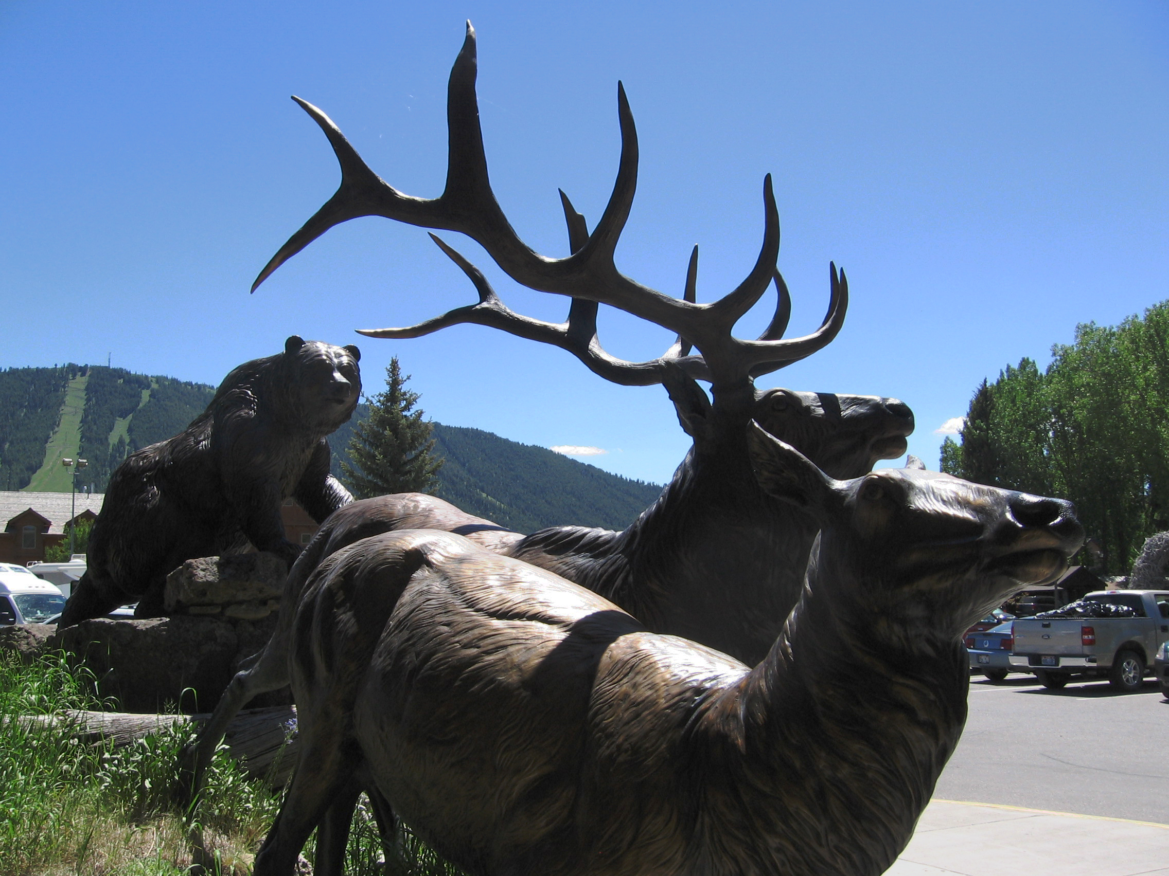 Jackson Hole & Greater Yellowstone Visitor Center