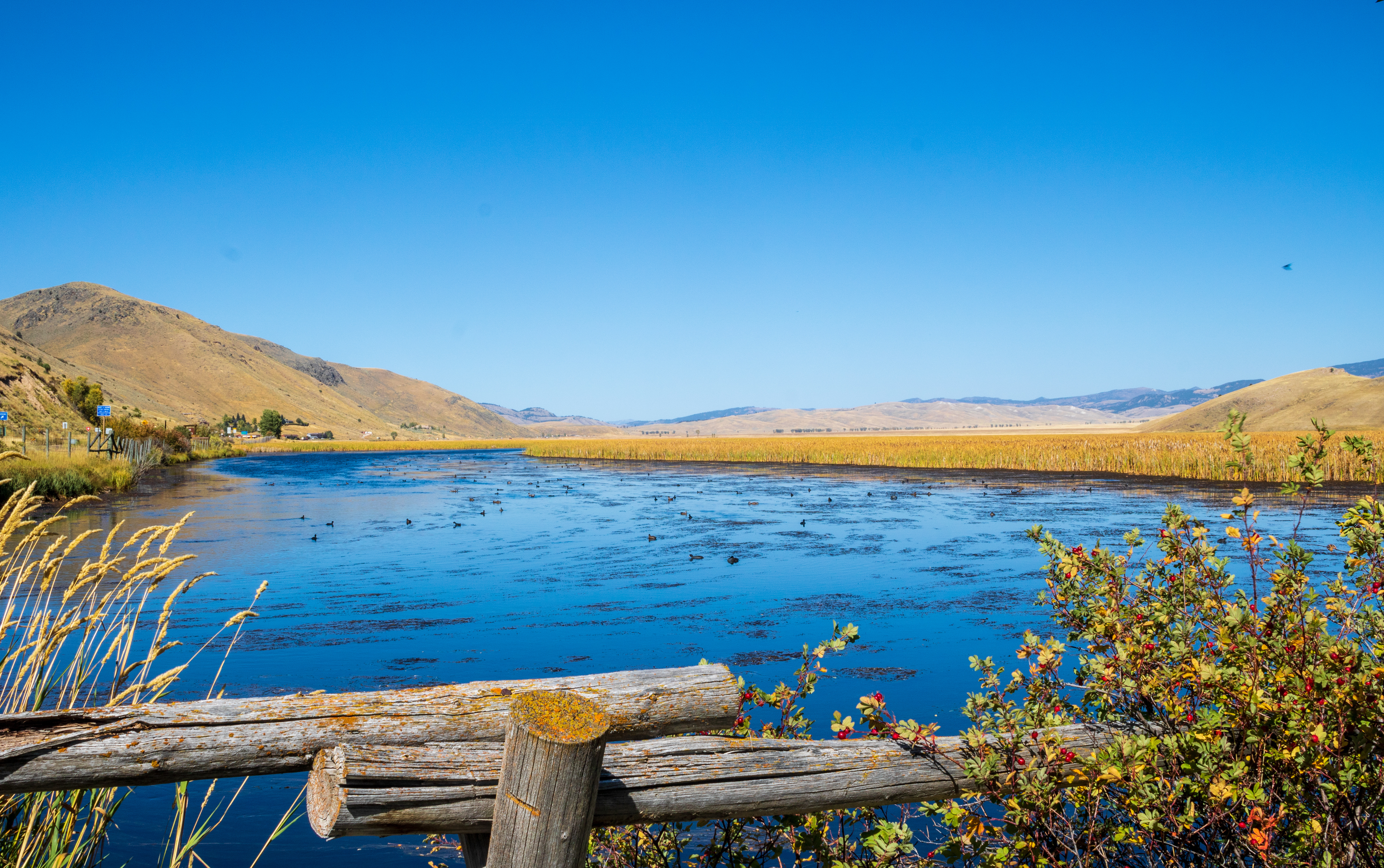 National Elk Refuge